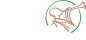 Centre for Communication and Social Impact logo
